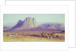 The Camel Train, Condessi, Mount Sinai, 1848 by Edward Lear