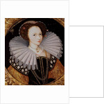 Portrait of a Lady with a Large Ruff, an Armillary Sphere in the Background by English School