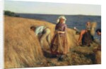 The Harvest by Hugh Cameron