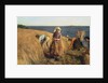 The Harvest by Hugh Cameron