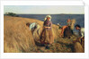The Harvest by Hugh Cameron