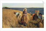 The Harvest by Hugh Cameron
