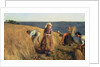 The Harvest by Hugh Cameron