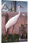 Indian Crane, Cockatoo, Bullfinch and Thrush by Henry Stacy Marks