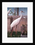 Indian Crane, Cockatoo, Bullfinch and Thrush by Henry Stacy Marks