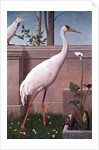 Indian Crane, Cockatoo, Bullfinch and Thrush by Henry Stacy Marks