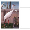 Indian Crane, Cockatoo, Bullfinch and Thrush by Henry Stacy Marks