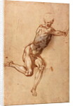 A seated male nude twisting around, c.1505 by Michelangelo Buonarroti