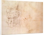 Torso Study by Michelangelo Buonarroti