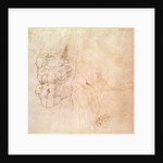 Torso Study by Michelangelo Buonarroti