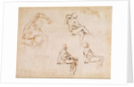 Figure Studies for a Man by Michelangelo Buonarroti