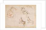 Figure Studies for a Man by Michelangelo Buonarroti