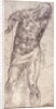 Figure Study by Michelangelo Buonarroti