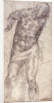 Figure Study by Michelangelo Buonarroti