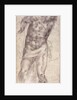 Figure Study by Michelangelo Buonarroti