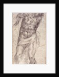 Figure Study by Michelangelo Buonarroti