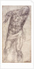 Figure Study by Michelangelo Buonarroti