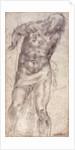Figure Study by Michelangelo Buonarroti