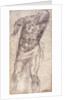 Figure Study by Michelangelo Buonarroti
