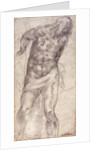 Figure Study by Michelangelo Buonarroti