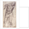 Figure Study by Michelangelo Buonarroti