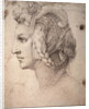 Study of Head by Michelangelo Buonarroti