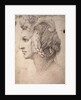 Study of Head by Michelangelo Buonarroti