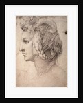 Study of Head by Michelangelo Buonarroti