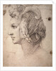 Study of Head by Michelangelo Buonarroti