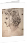 Study of Head by Michelangelo Buonarroti