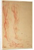 Studies of Legs and Arms by Michelangelo Buonarroti