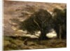 Gust of Wind, 1866 by Jean Baptiste Camille Corot