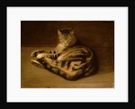 Recumbent Cat, 1898 by Theophile Alexandre Steinlen