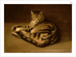 Recumbent Cat, 1898 by Theophile Alexandre Steinlen
