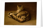 Recumbent Cat, 1898 by Theophile Alexandre Steinlen