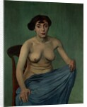 Nude in Blue Fabric, 1912 by Felix Edouard Vallotton