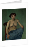 Nude in Blue Fabric, 1912 by Felix Edouard Vallotton