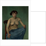Nude in Blue Fabric, 1912 by Felix Edouard Vallotton