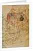 8.1.F.18.`Roma La Veuve', showing the Widow of Rome, Italian, 13th century by Anonymous