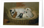 Bitch with her Puppies in a Wicker Basket by Samuel de Wilde