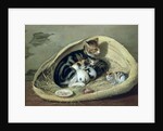 Cat with Her Kittens in a Basket by Samuel de Wilde
