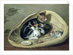 Cat with Her Kittens in a Basket by Samuel de Wilde