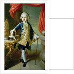 Portrait of a Boy with Pet Spaniel, 18th century by Martin van Mytens or Meytens