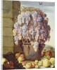 Still Life of Fruit and Grapes by Luca Forte