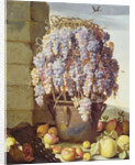 Still Life of Fruit and Grapes by Luca Forte