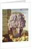 Still Life of Fruit and Grapes by Luca Forte