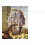 Still Life of Fruit and Grapes by Luca Forte