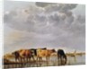 Cows in a River, c.1650 by Aelbert Cuyp