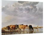 Cows in a River, c.1650 by Aelbert Cuyp