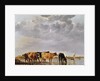 Cows in a River, c.1650 by Aelbert Cuyp
